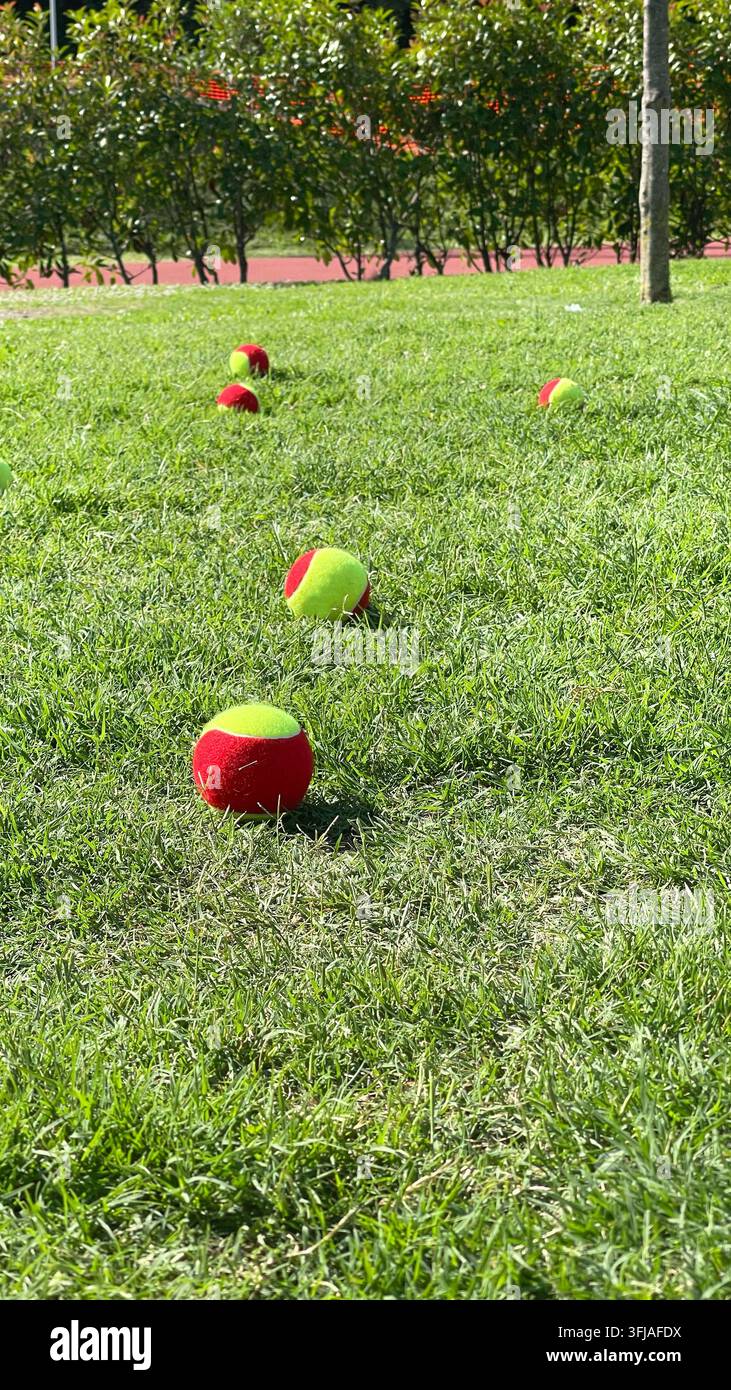 Tennisbälle grüner Rasen Sport-Hintergrund. Buntes Kinder-Trainingsgerät Outdoor-Fitness-Aktivitätseinrichtung. Lustiger Sommerhobby aktiver Lebensstil Stockfoto