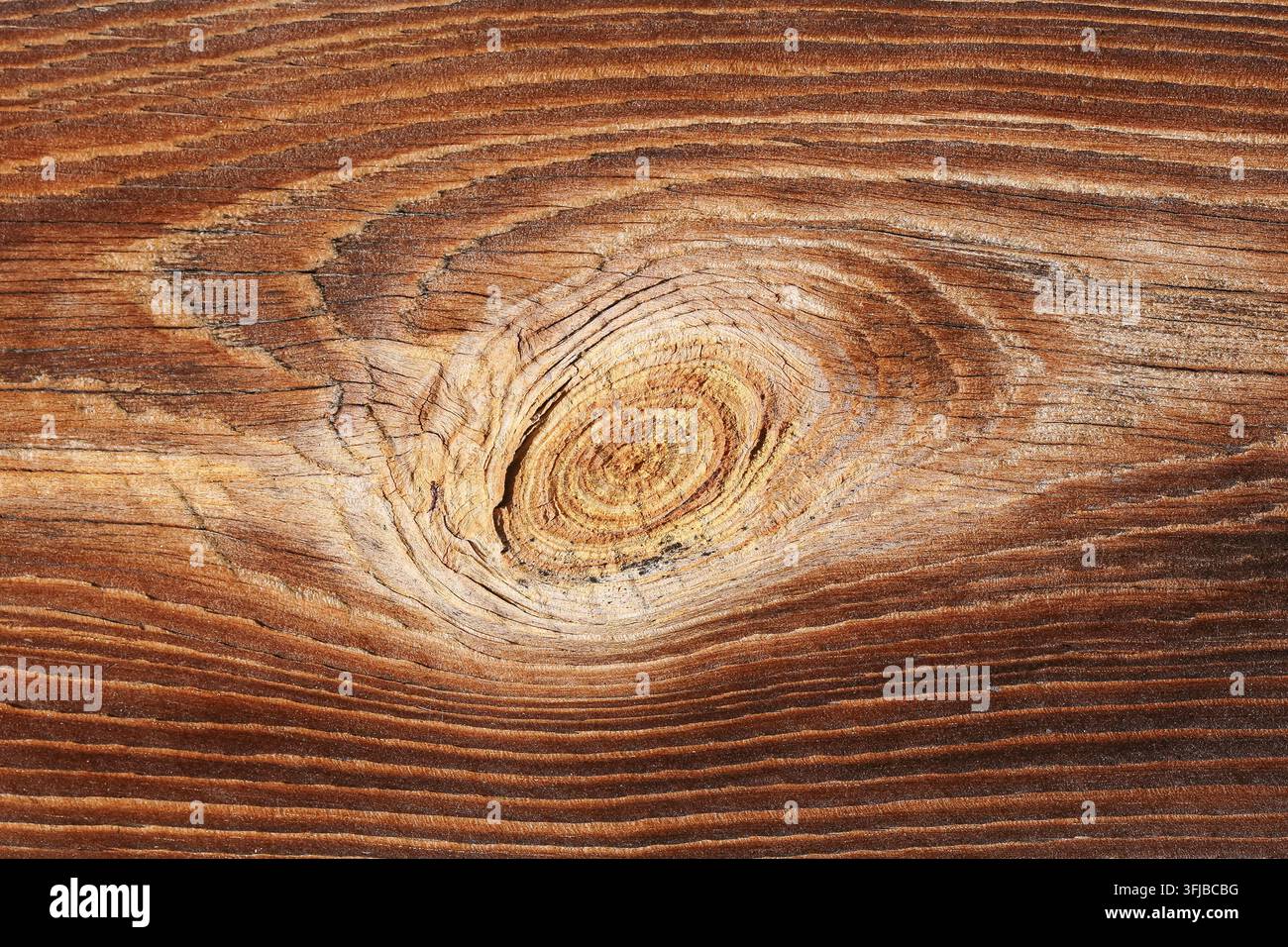 Natürliche Holzplankenstruktur mit sichtbarer Aststelle und Maserung. Holz-Hintergrund für rustikales Design, Zimmermannsbaustoffe, Oberflächen und Dekoration. Stockfoto