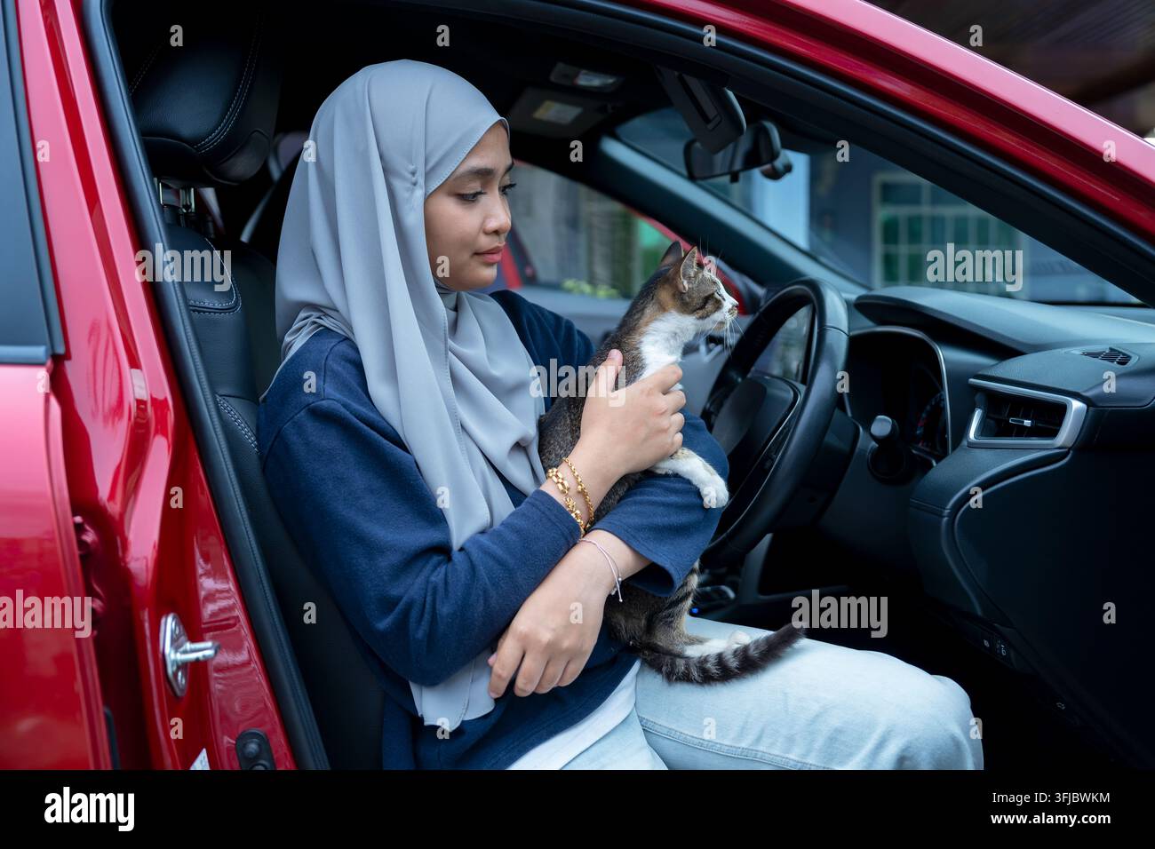 Junge Frau sitzt auf einem Auto mit Katze Stockfoto