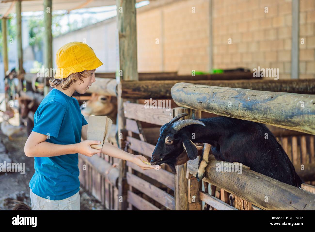 Junge füttert eine Ziege in einem Streichelzoo während eines pädagogischen Bauernhofbesuchs. Praxisnahes Lernen und Tierbildung. Stockfoto