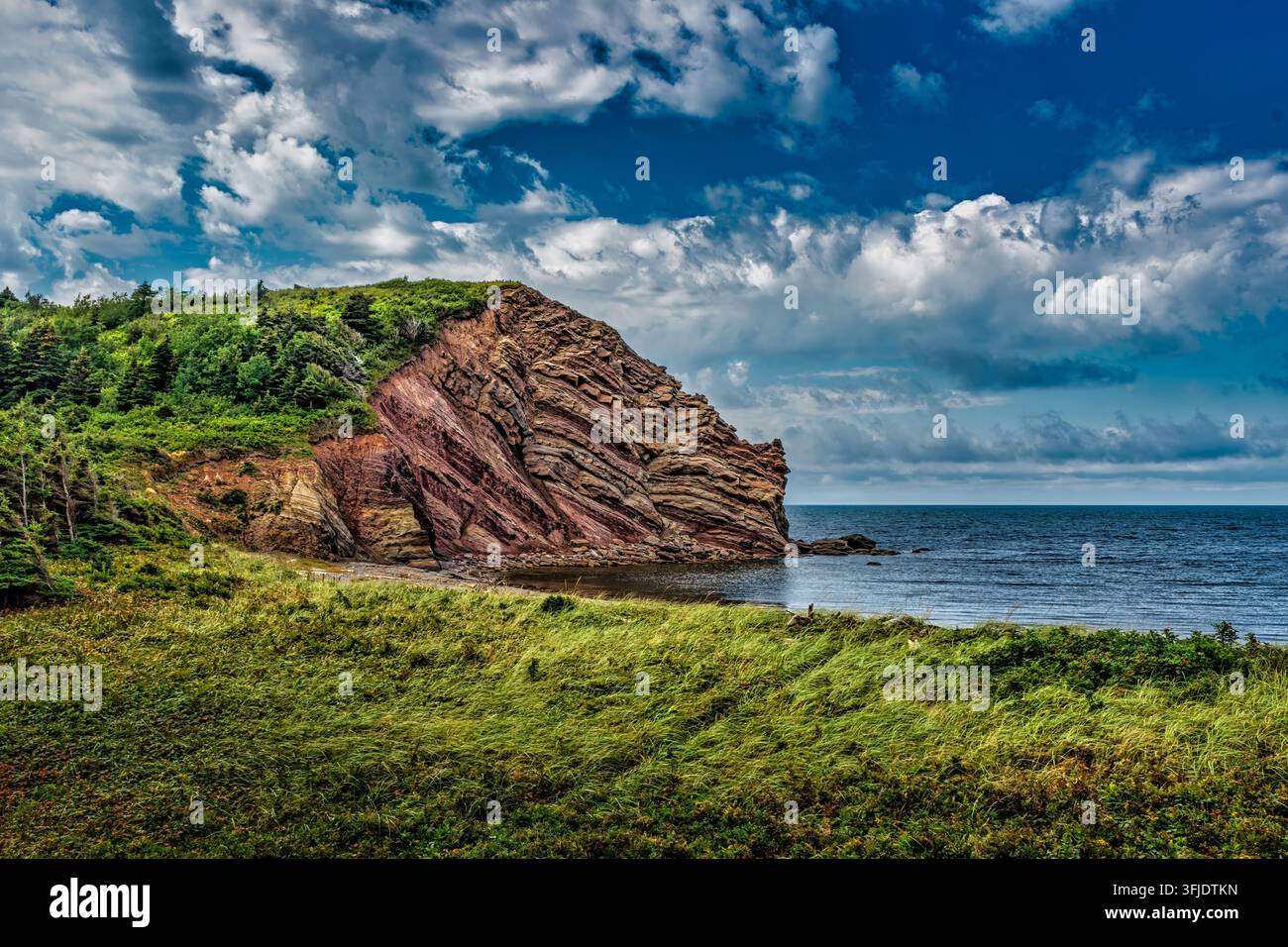 Charakteristische geschichtete und gefaltete Felsformation an der Küste von Cape Breton Island, Nova Scotia, Kanada. Stockfoto