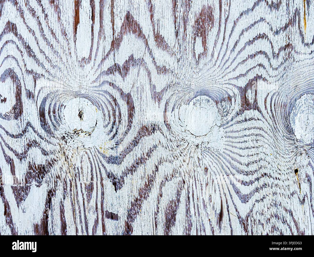 Weiß gestrichene Holzmaserung schafft eine abstrakte Hintergrundtextur mit Astknoten Stockfoto