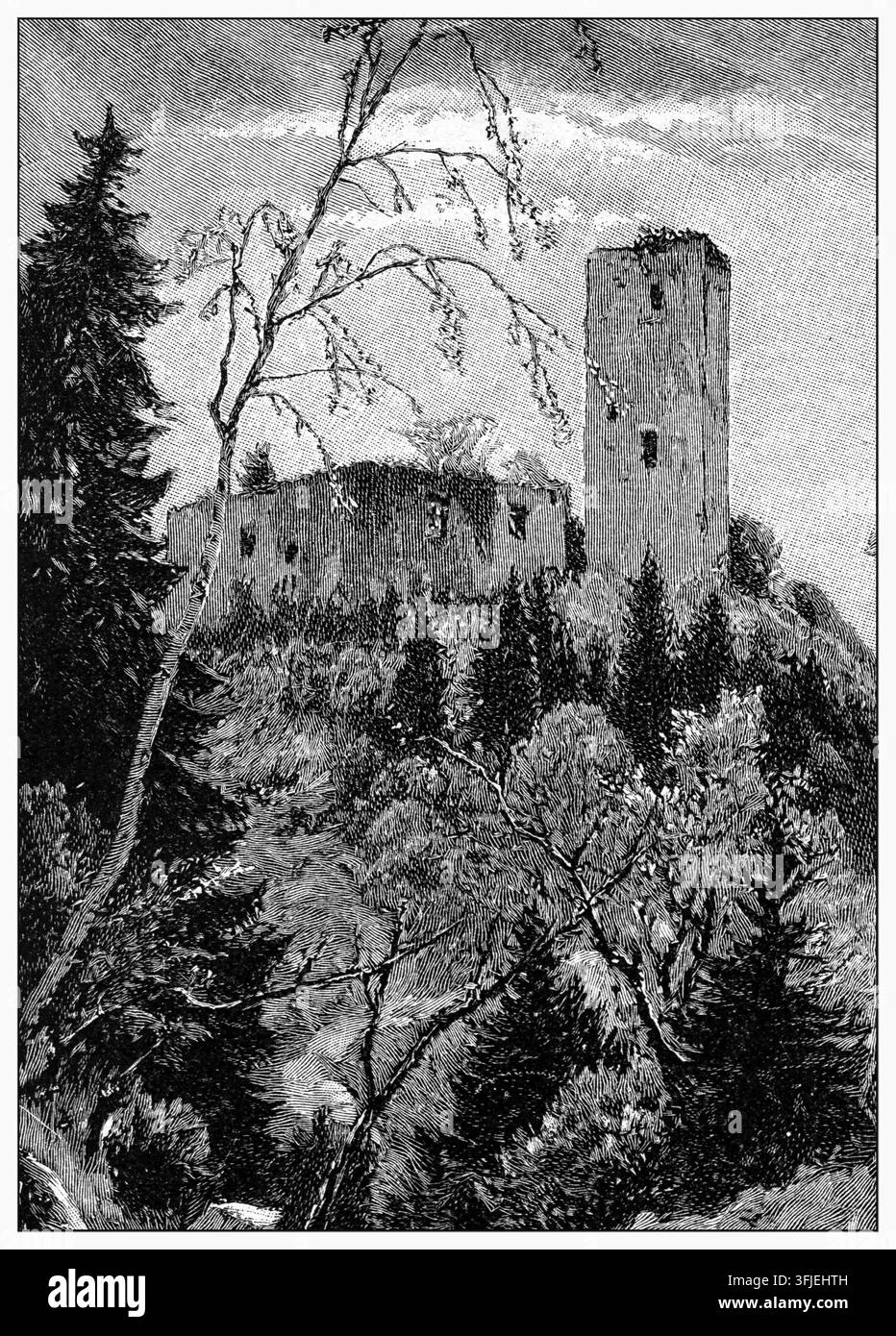 Burgruine Lichtenstein, mittelalterliche Festung auf einem Hügel, Waldlandschaft, Radierung aus dem 19. Jahrhundert. Stockfoto