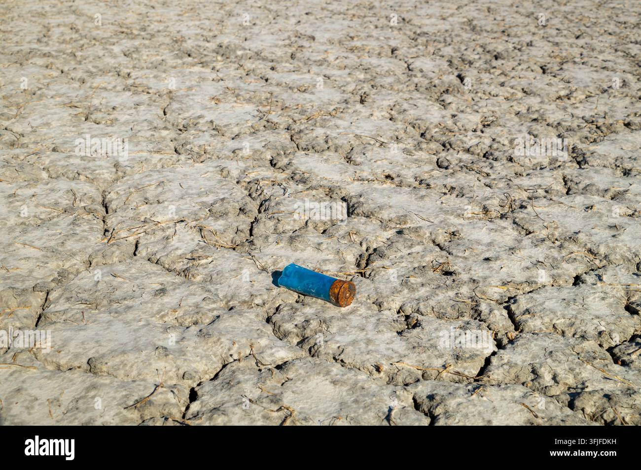 Verbrauchte blaue Schrotflintenpatrone auf rissigem trockenem Schlammfeld als Symbol für Dürre und Verschmutzung Stockfoto