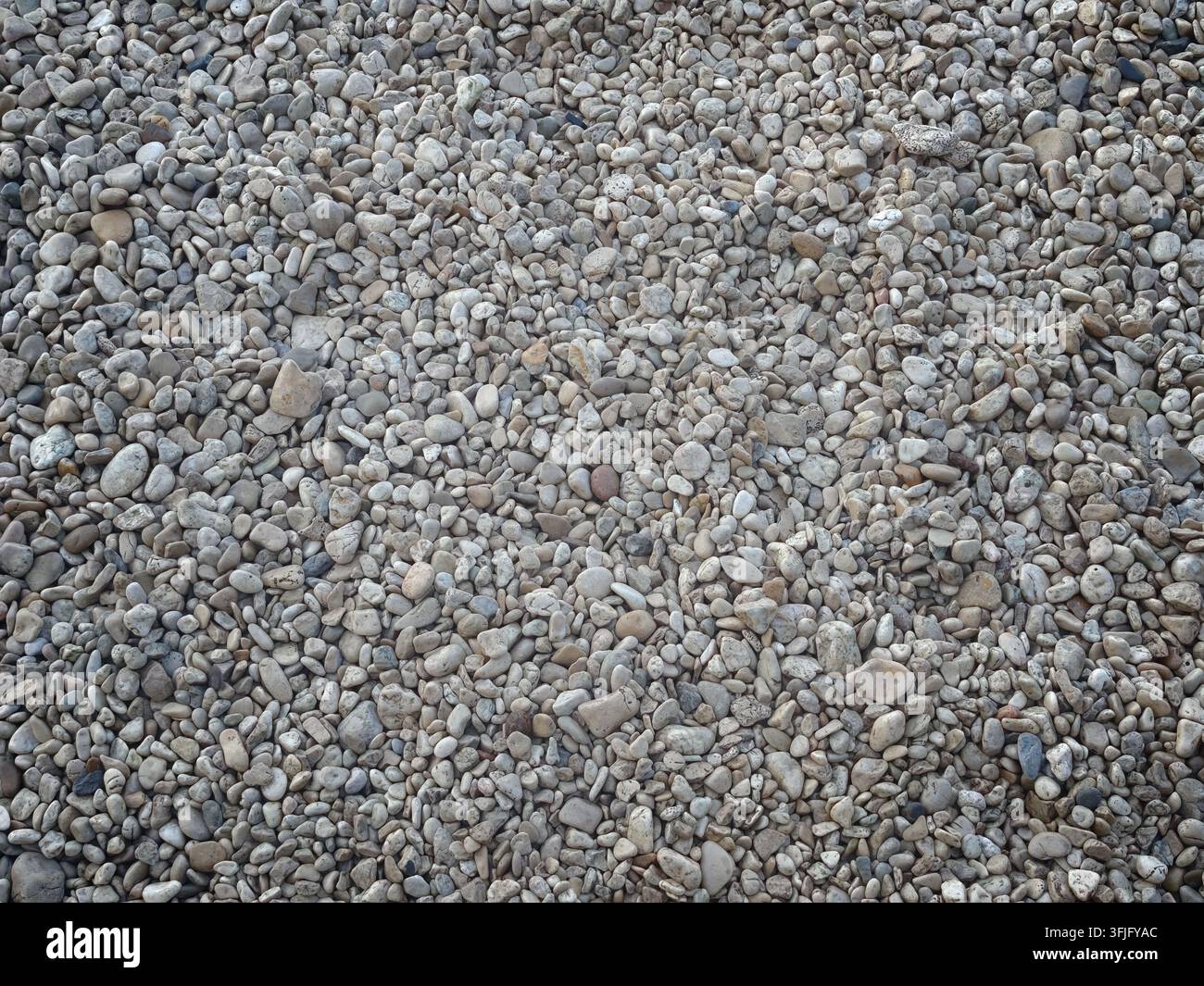 Eine Top-Down-Nahaufnahme, die unzählige winzige, verwitterte graue Kieselsteine zeigt, die eng aneinander gepackt sind und eine organische und minimalistische Naturtextur erzeugen - Smartphone-aufgenommenes Stockfoto