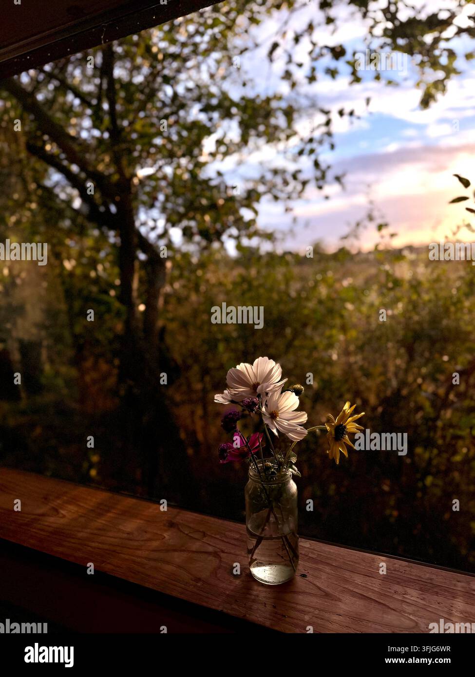 Blick von einem Wohnwagen in Woodhall Spa 2026 Stockfoto