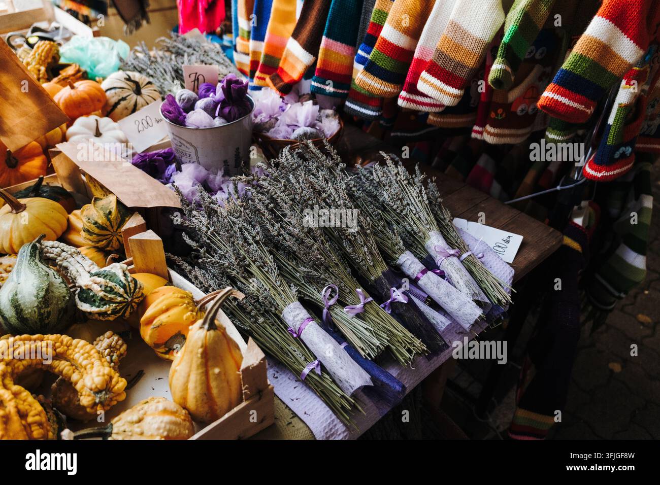Dekorative Kürbisse und getrockneter Lavendel sind an einem saisonalen Marktstand arrangiert. Natürliche Herbstszene für Wohnkultur, Wellness, Einzelhandel und Bio-Promotion Stockfoto