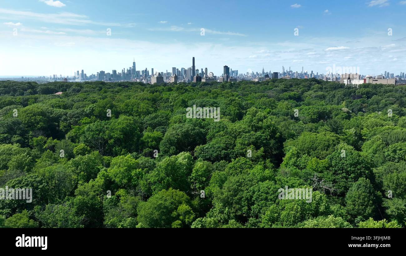 Prospect Park ist ein Stadtpark in Brooklyn, New York City. Wunderschöner Drohnenbild über dichtem grünem Blätterdach von alten Bäumen im Sommer. Weite NYC-Skyline Stockfoto