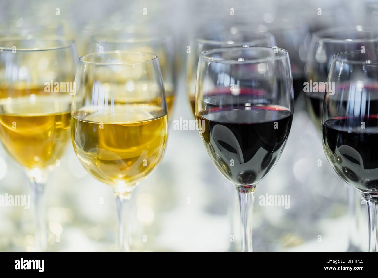 Portionen Rot- und Weißwein füllen eine Anordnung von Stielgläsern und zeigen einen vorbereiteten Getränkeservice für Bankette, gesellschaftliche Anlässe und cate Stockfoto