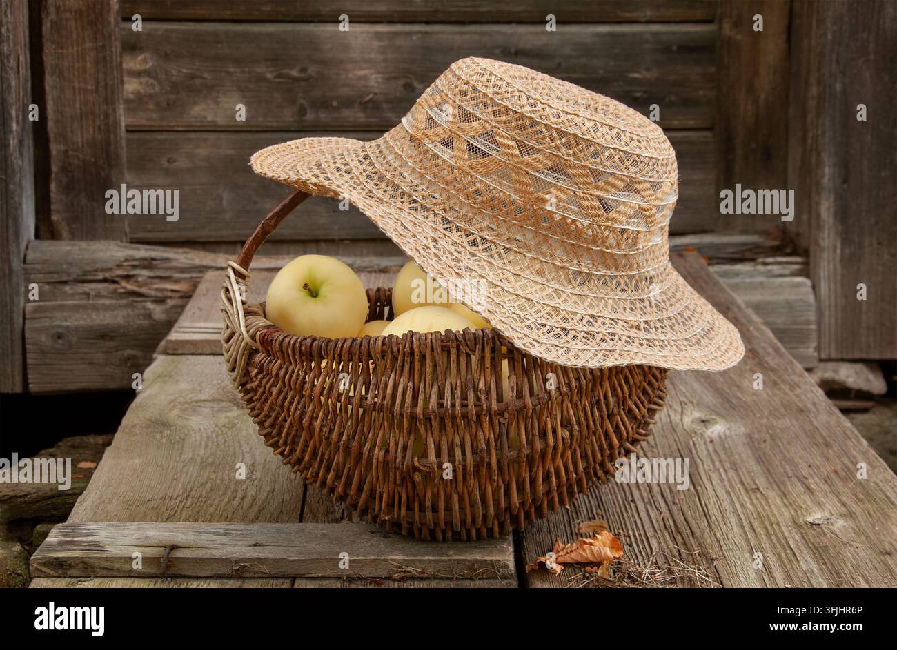 Gartenfrüchte zu Hause. Transparente Äpfel in einem Weidenkorb und Hut oben drauf. Garteneinstellung. Unscharfer Hintergrund. Alter Holzboden als Hintergrund Stockfoto
