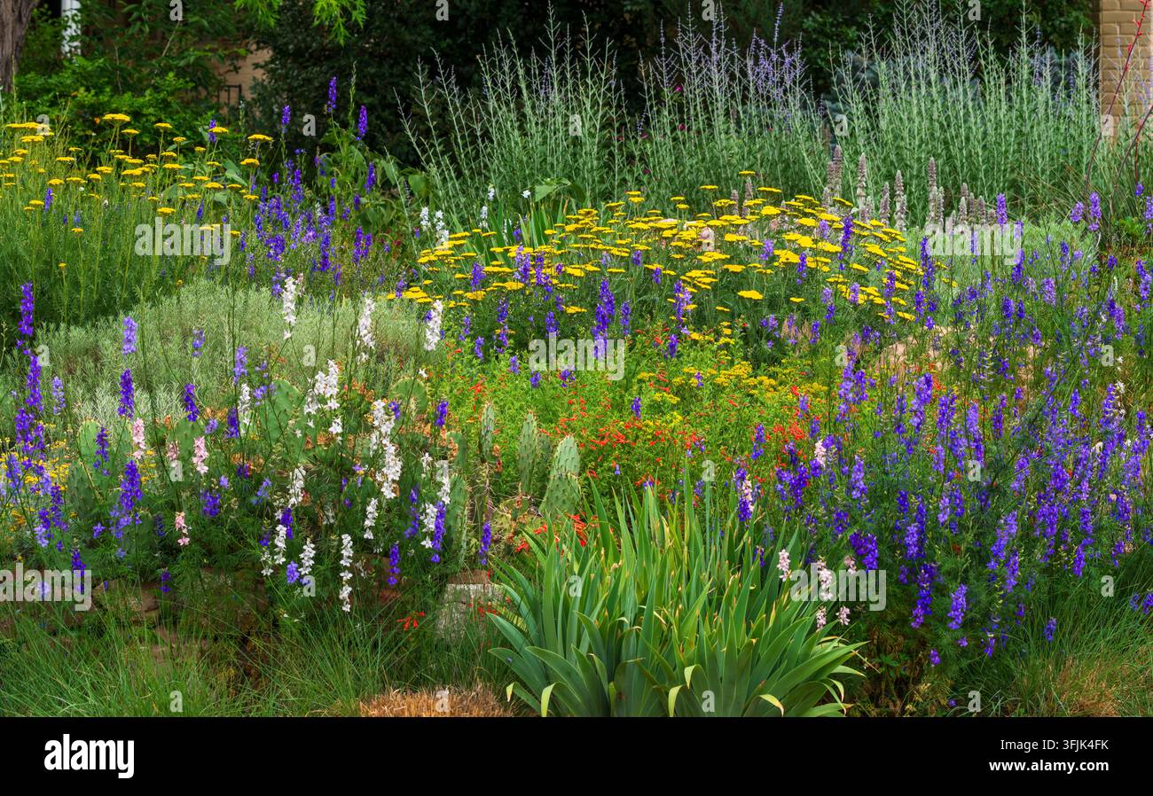 Ein Nahaufnahmeabschnitt eines Xeriscape-Gartens mit einer großen Vielfalt an farbenfrohen, dürretoleranten und wasserarmen Pflanzen. Stockfoto