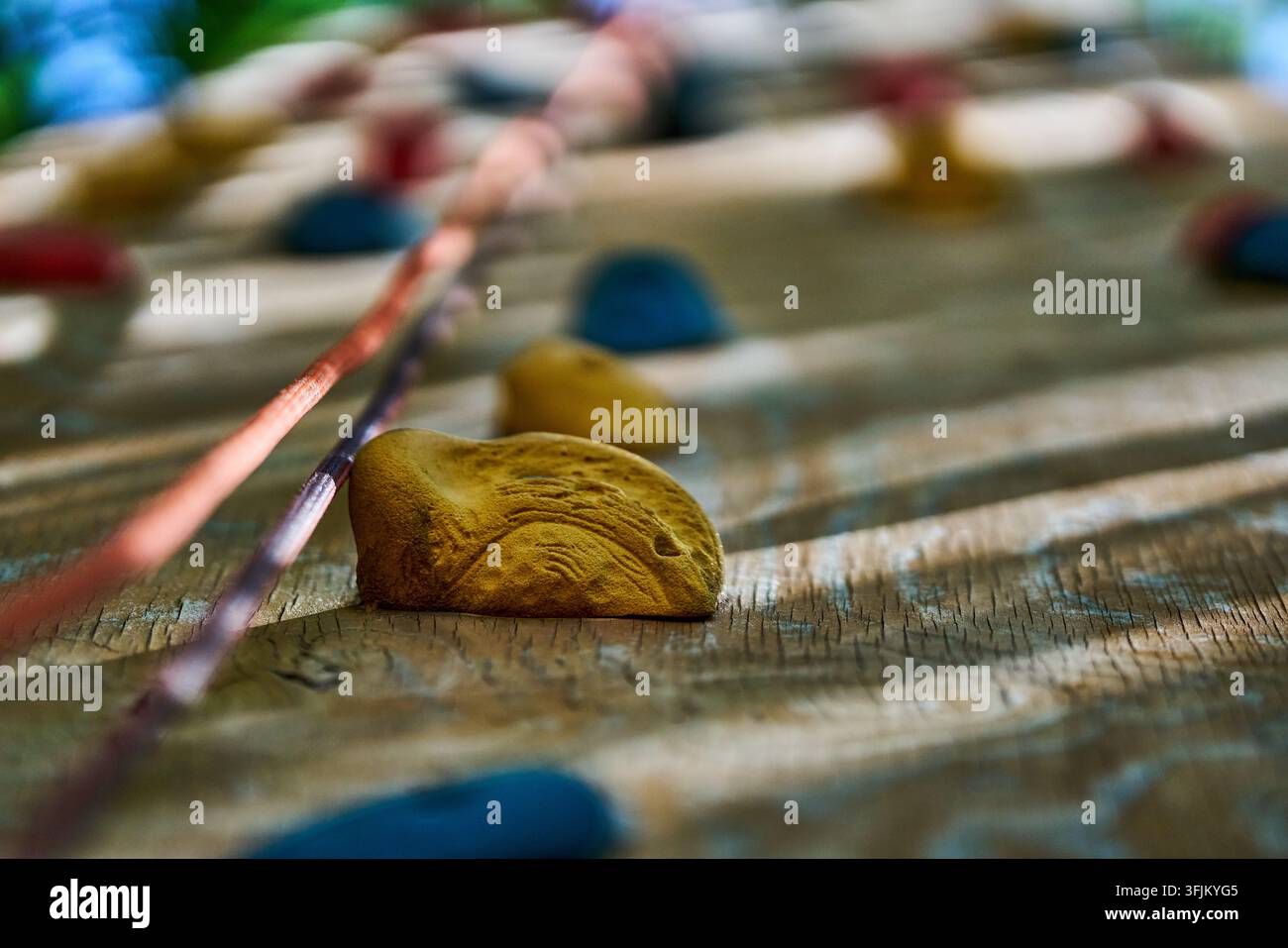 Nahaufnahme von gelben und blauen Klettergriffen an einer Holzwand mit Sicherheitsseilen, die Abenteuer, Sport und Outdoor-Aktivitäten repräsentieren Stockfoto