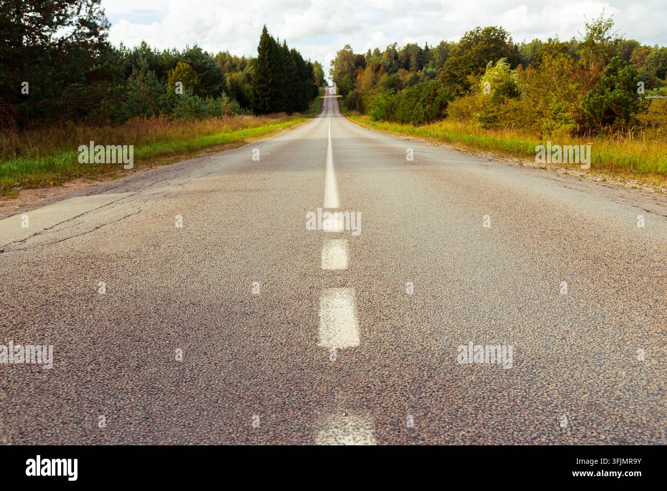 Asphaltstraßenoberfläche mit Straßenmarkierungen und Herbststimmung mit Kopierraum. Stockfoto