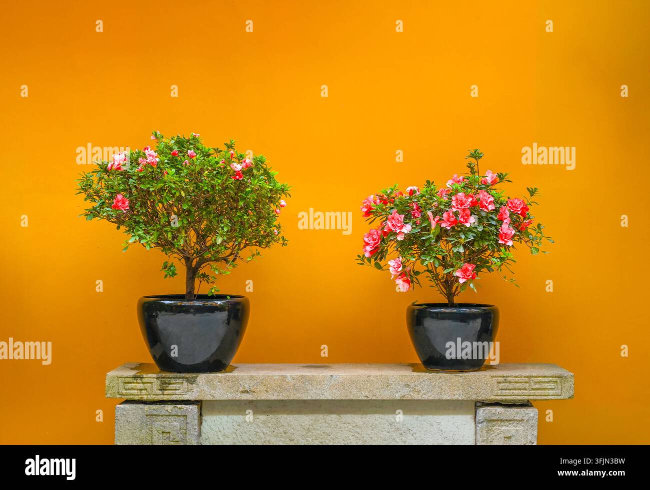 Asiatischer Garten mit Steinbank und Blumentöpfen Stockfoto