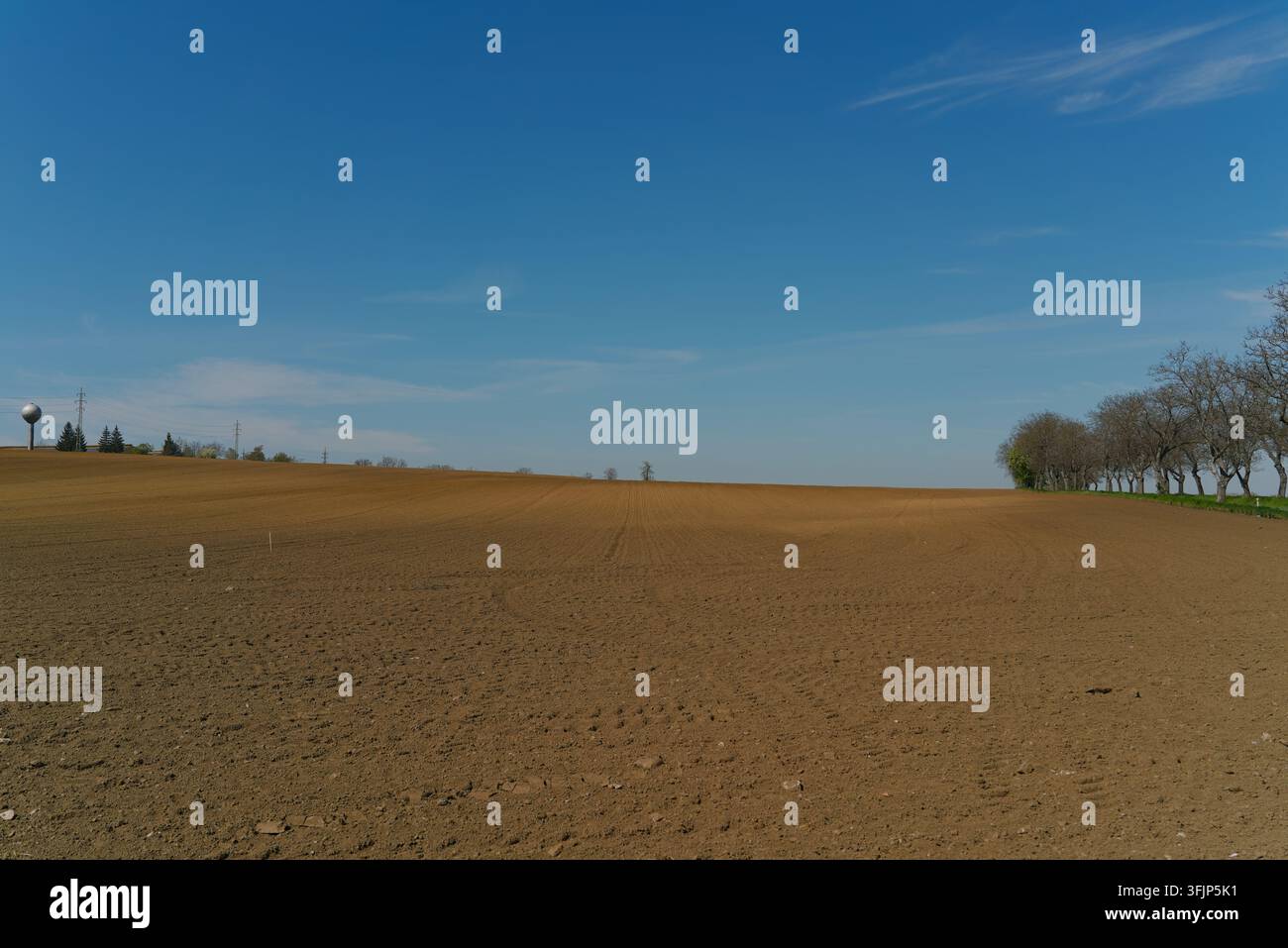 Ein weites frisch gepflügtes braunes Erdfeld mit einer Baumreihe rechts unter einem klaren blauen Frühlingshimmel. Stockfoto
