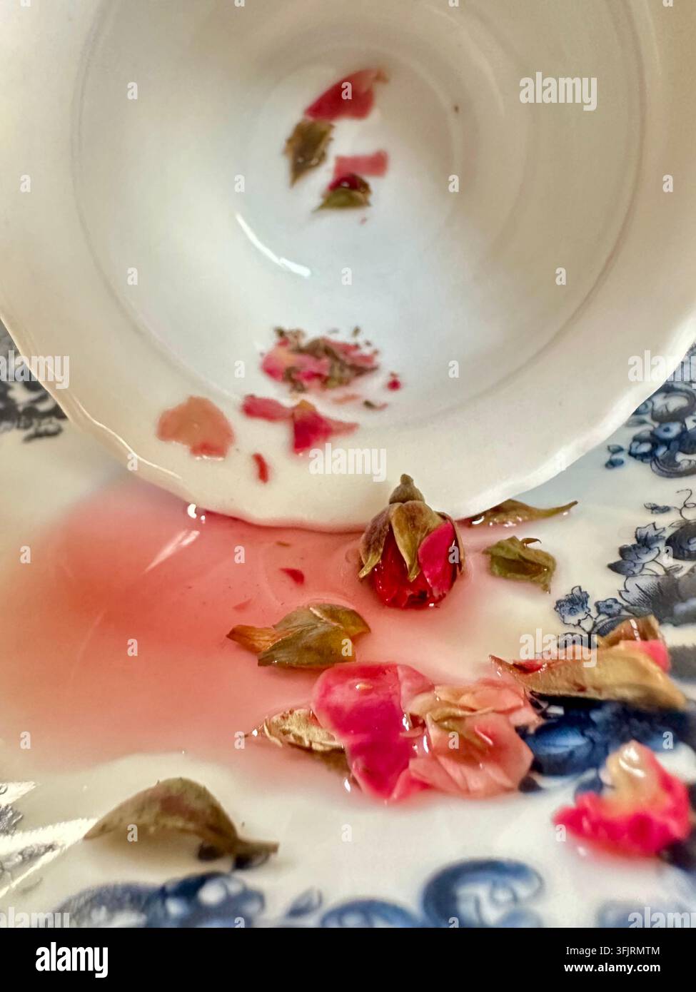 Wunderschöner Nahaufnahme von rosa Rosenblättern, die aus einer Vintage-Porzellan-Tasse mit rosa Kräutertee quellen - Smartphone-aufgenommenes Stockfoto
