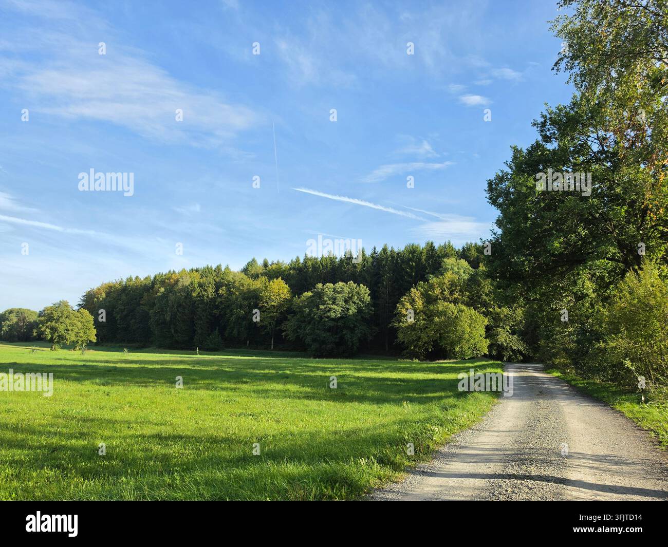Pittorese Landstraße windet sich durch grüne Wiesen und Waldränder unter einem blauen Himmel mit sanften Wolken in Frankenberg Eder, Hessen, Deutschland. - Smartphone-aufgenommenes Stockfoto