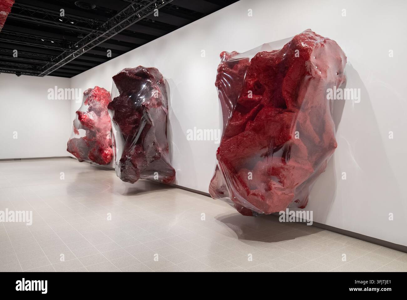 Anish-Kapoor-Ausstellung in der Hayward Gallery Stockfoto
