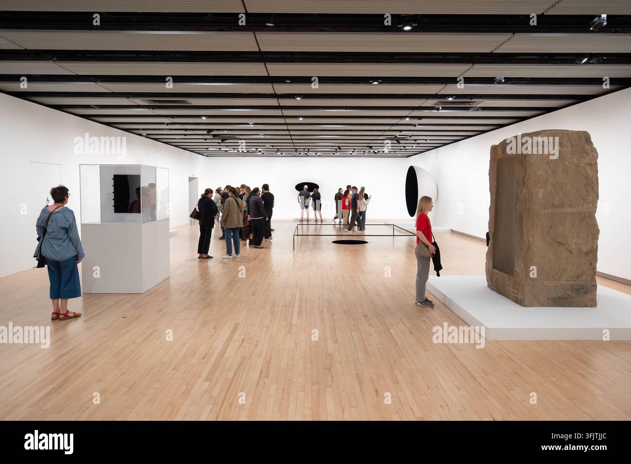 Anish-Kapoor-Ausstellung in der Hayward Gallery Stockfoto