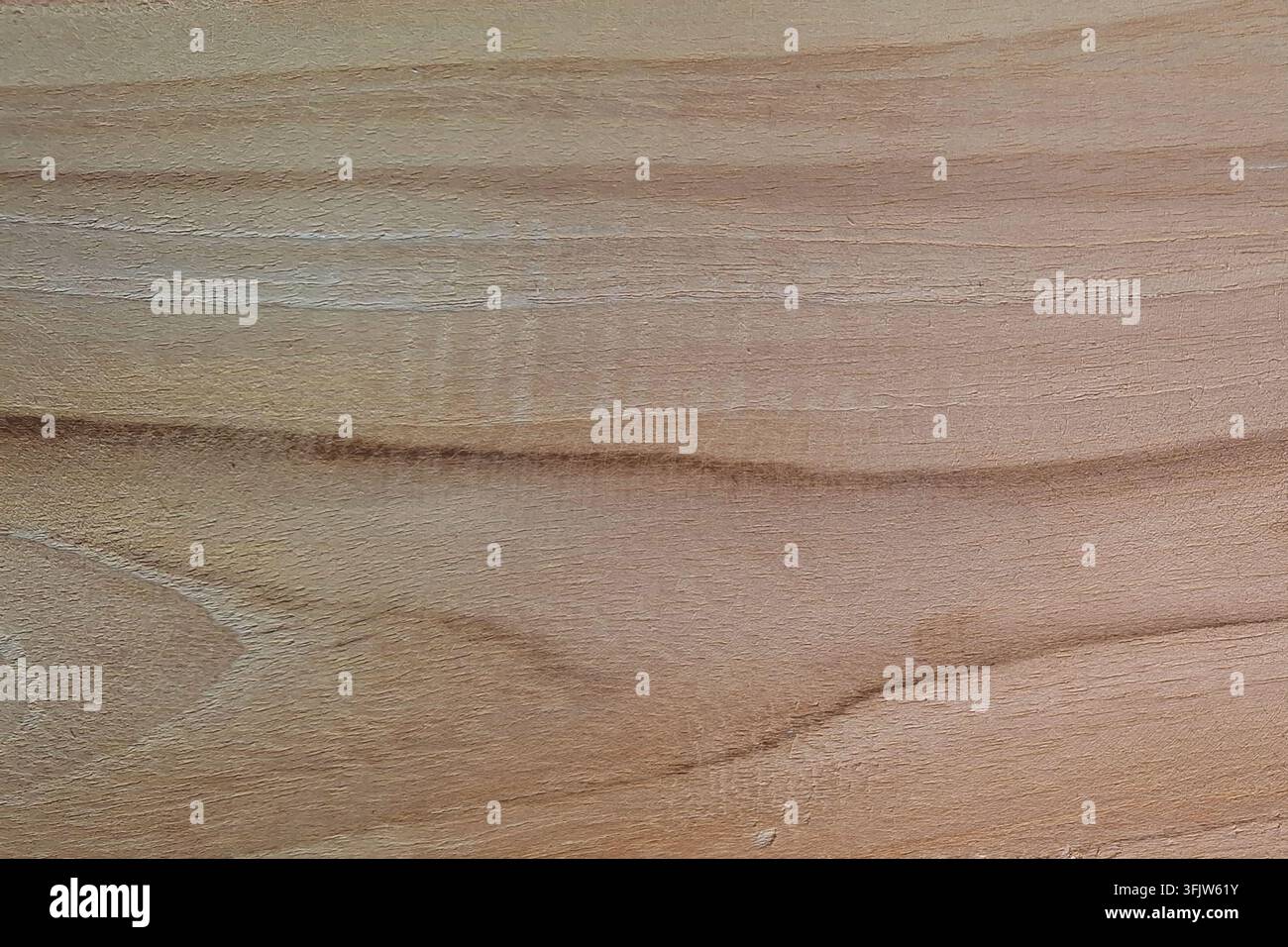 Natürliche hellbraune Holzoberflächentextur mit charakteristischen wirbelnden Maserungslinien und glatter Holzoberfläche Stockfoto