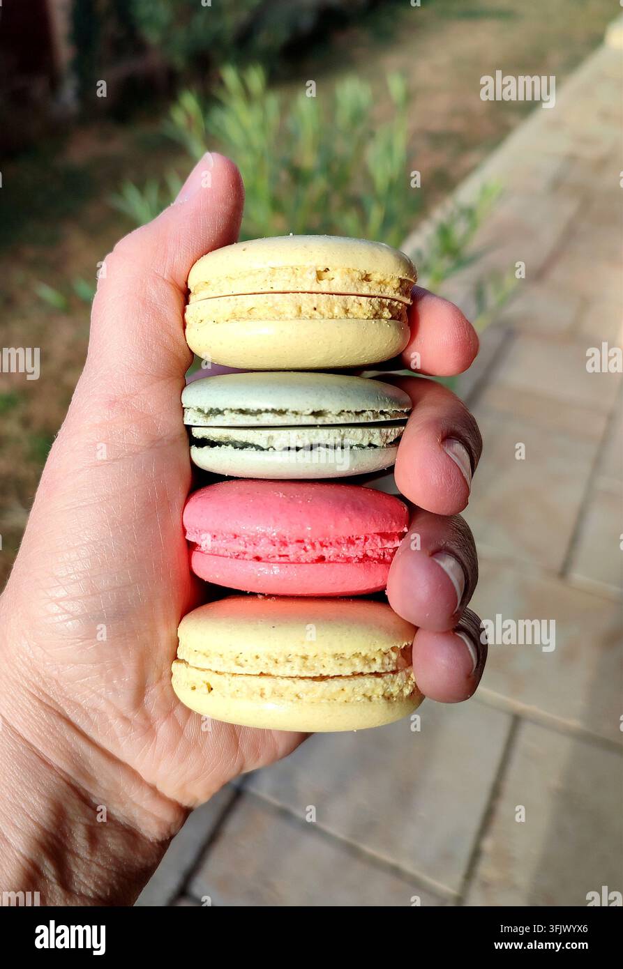 Eine Nahaufnahme eines Hands, das vier farbenfrohe französische Macarons vertikal gestapelt hält. Die pastellgelben, grünen und leuchtend rosa Macarons heben sich ab Stockfoto