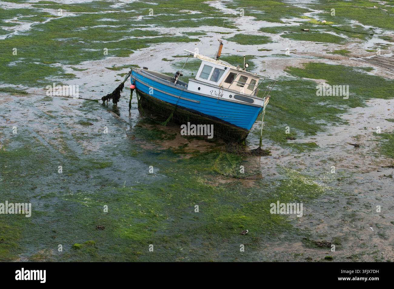 Das Fischerboot "Violet" ruht auf den Folkestone-Schlickfluren während der Ebbe, während das Wasser zurückweicht. Stockfoto