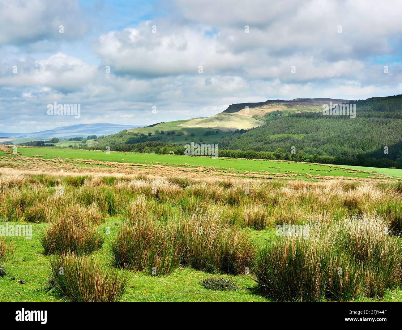 Blick über das Tal von den Hängen des Sharp Haw nahe Skipton North Yorkshire England Stockfoto