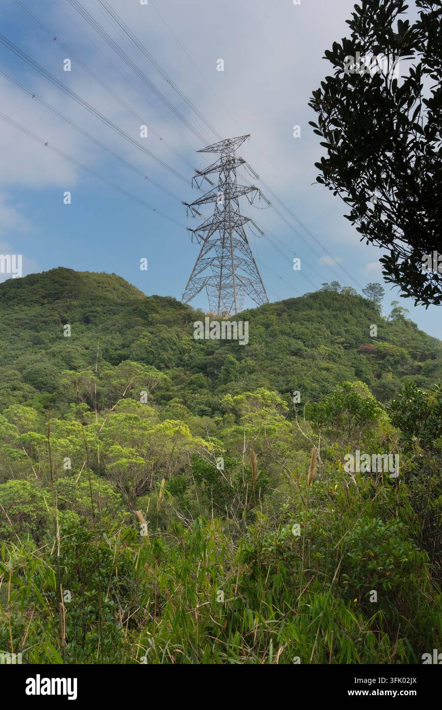 Hochspannungsleitungen und ein Übertragungsturm durchqueren die üppigen Hügel des Country Parks in Hongkong und versorgen die Region mit Strom. Stockfoto