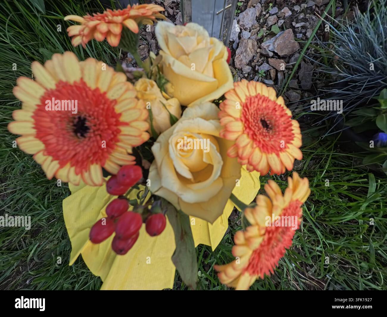 buntes Blumenbeet im Schlossgarten Siegen in der Nahaufnahme Stockfoto