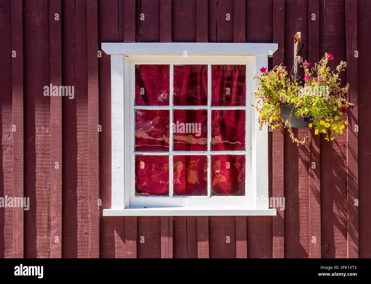 Traditionelle Holzfassade mit Fenster und Blumen, Telegraph Cove, Vancouver Island, Kanada. Stockfoto