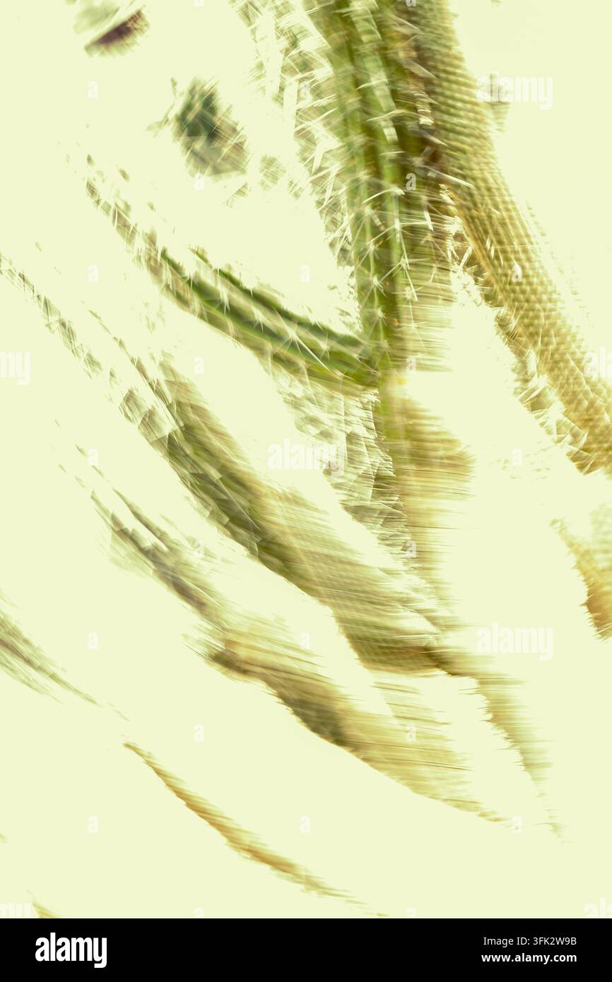 Experimentelle Makrofotografie eines verschwommenen Kaktus mit pixelierten Glitch-Effekten und weichen grünen botanischen Texturen, die sich mit der Stacheligkeit vermischen Stockfoto