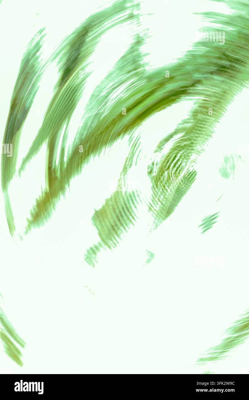 Experimentelle Makrofotografie eines verschwommenen Kaktus mit pixelierten Glitch-Effekten und weichen grünen botanischen Texturen, die sich mit der Stacheligkeit vermischen Stockfoto