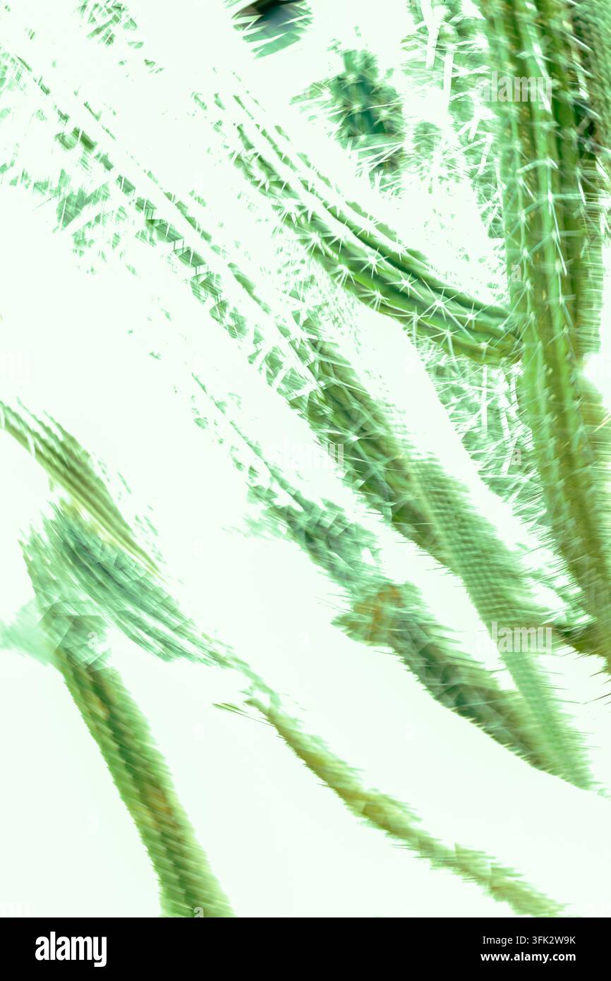 Experimentelle Makrofotografie eines verschwommenen Kaktus mit pixelierten Glitch-Effekten und weichen grünen botanischen Texturen, die sich mit der Stacheligkeit vermischen Stockfoto
