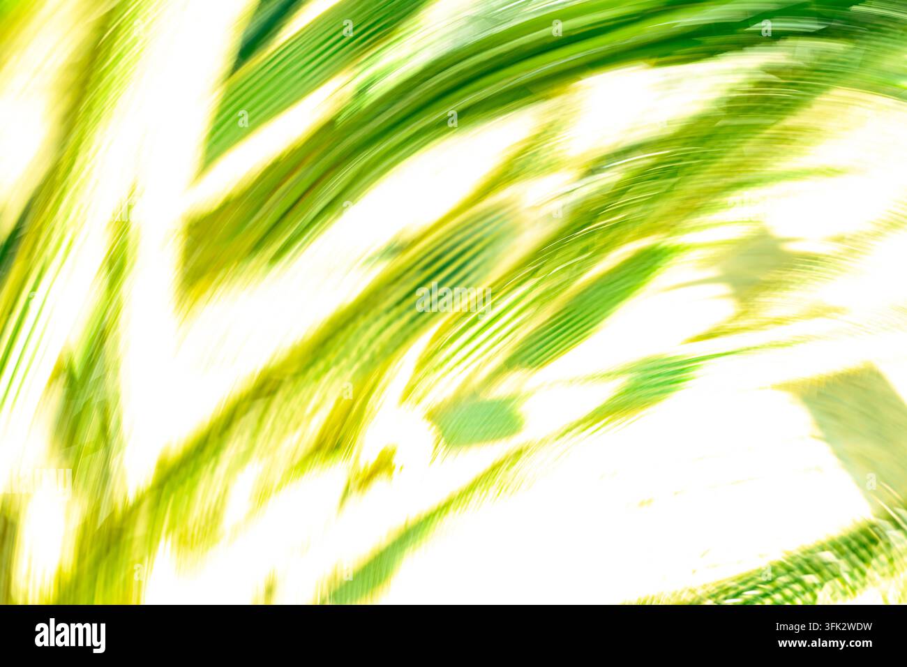 Experimentelle Fotografie eines verschwommenen Kaktus mit pixelierten Glitch-Effekten und weichen grünen botanischen Texturen, die sich mit der Stacheligkeit vermischen und swe Stockfoto
