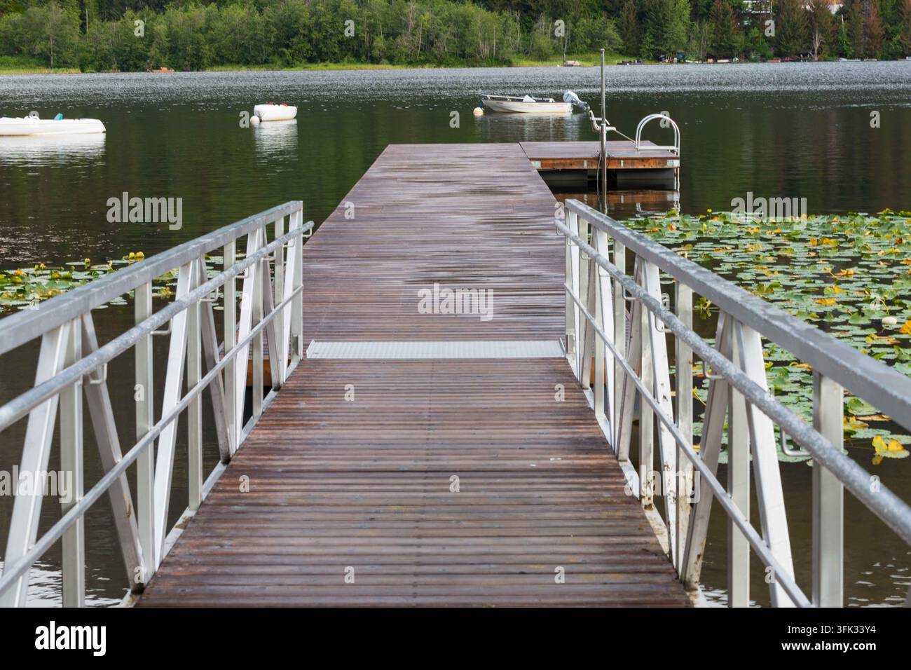 Atemberaubende Aussichten vom Alta Lake, Whistler, British Columbia, Kanada an einem Sommermorgen im Juli. Stockfoto