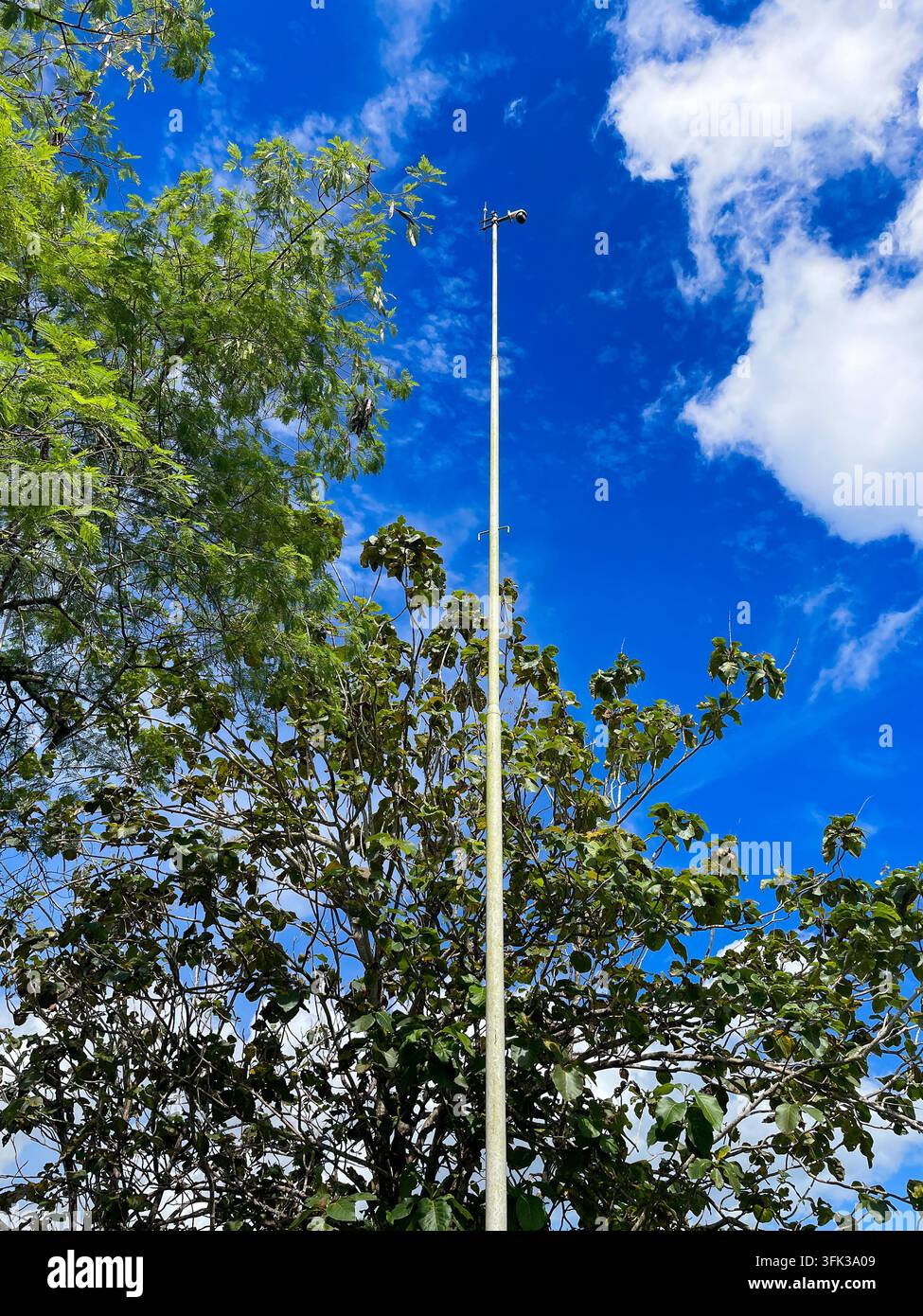 Hoher weißer CCTV-Sicherheitskameramast, der über grüne Bäume ragt, vor hellem blauem Himmel mit weißen Wolken Stockfoto