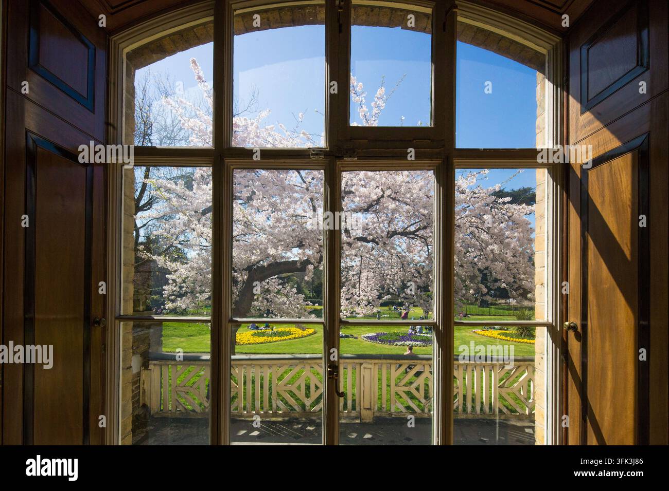 Besucher genießen einen sonnigen Frühlingstag unter blühenden Kirschbäumen in Walpole Park, gesehen vom historischen Pitzhanger Manor & Gallery in Ealing. Stockfoto