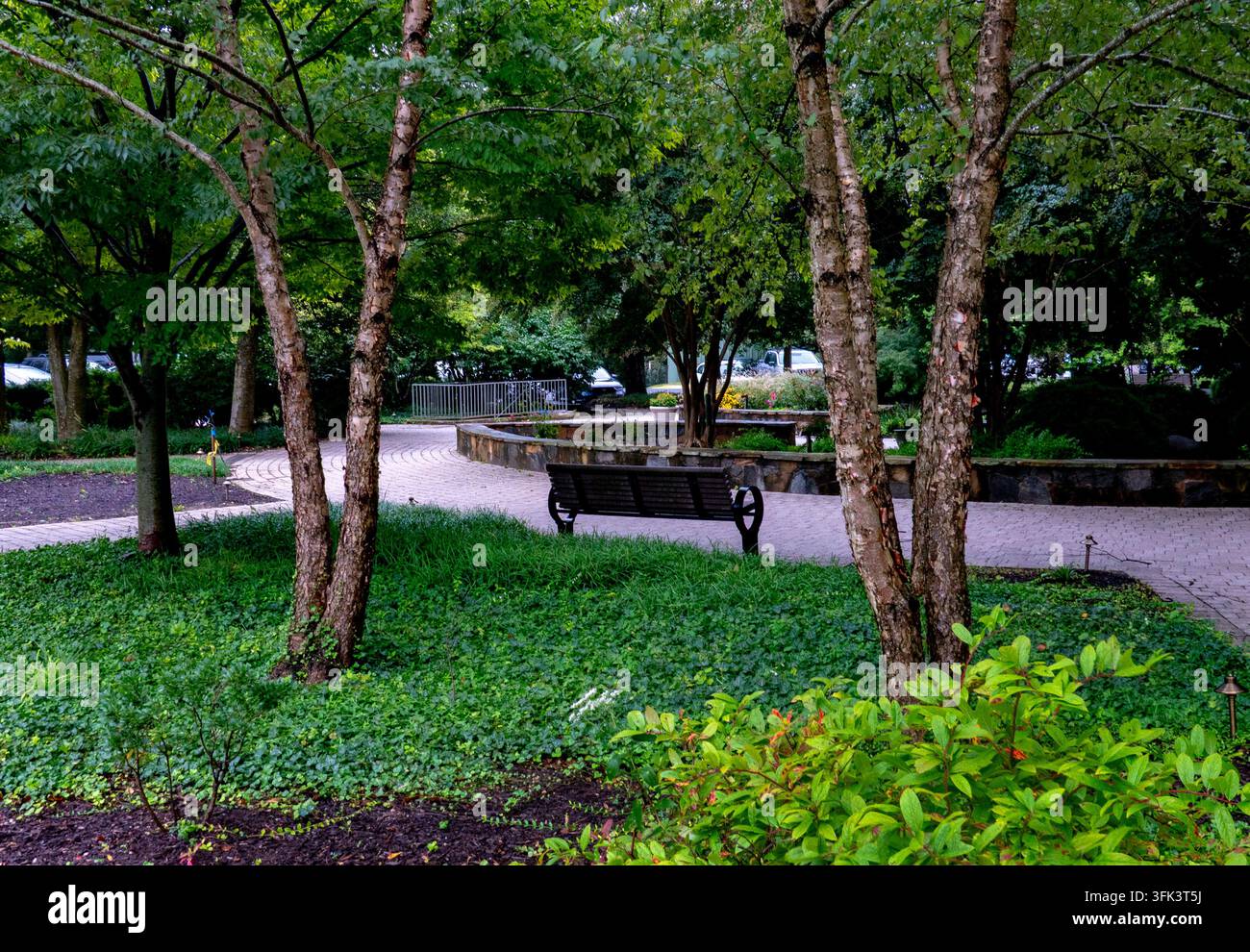 Ein ruhiger Park- oder Gartenweg mit einer dunkelbraunen Holzbank, die auf einem gepflasterten Gehweg steht, umgeben von Bäumen und grüner Bodenbedeckung. Stockfoto