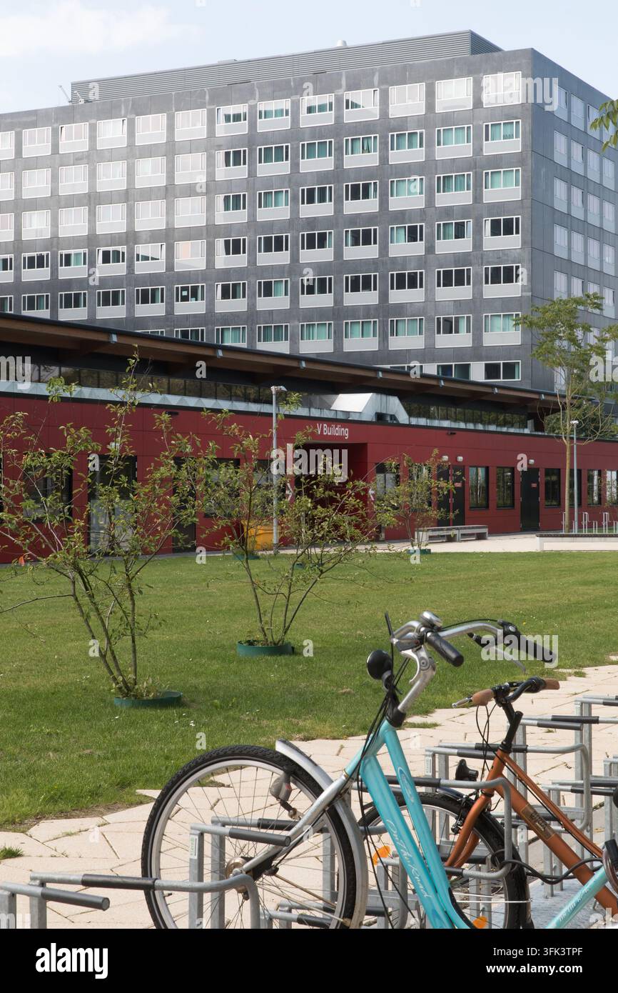 Studierende und Mitarbeiter parken ihre Fahrräder am V-Gebäude, einem zentralen Knotenpunkt an der Erasmus-Universität Rotterdam für das tägliche akademische Leben. Stockfoto