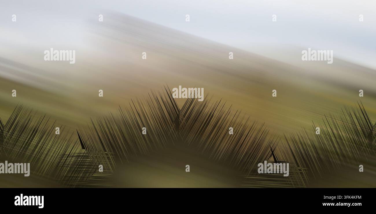 Abstrakte Landschaft mit weichen gedämpften Tönen und Bewegungsunschärfe-Effekt, mit dunklen Grassaumrissen am unteren Rand. Stockfoto