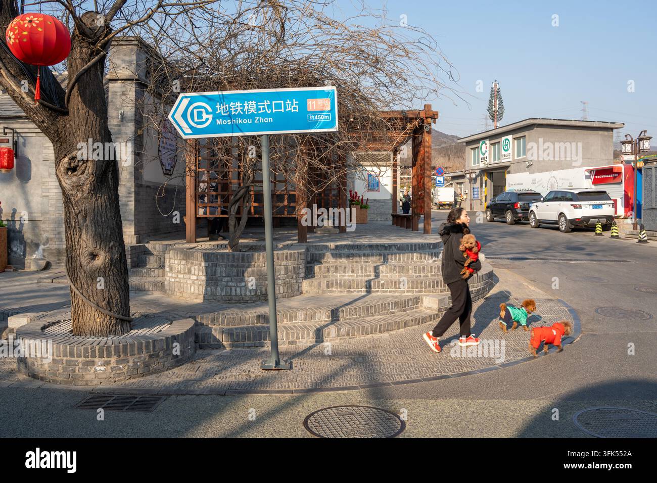 Frau spaziert mit Hund auf der alten Straße von Moshikou, Bezirk Shijingshan, Peking, städtische AlltagsSzene Stockfoto
