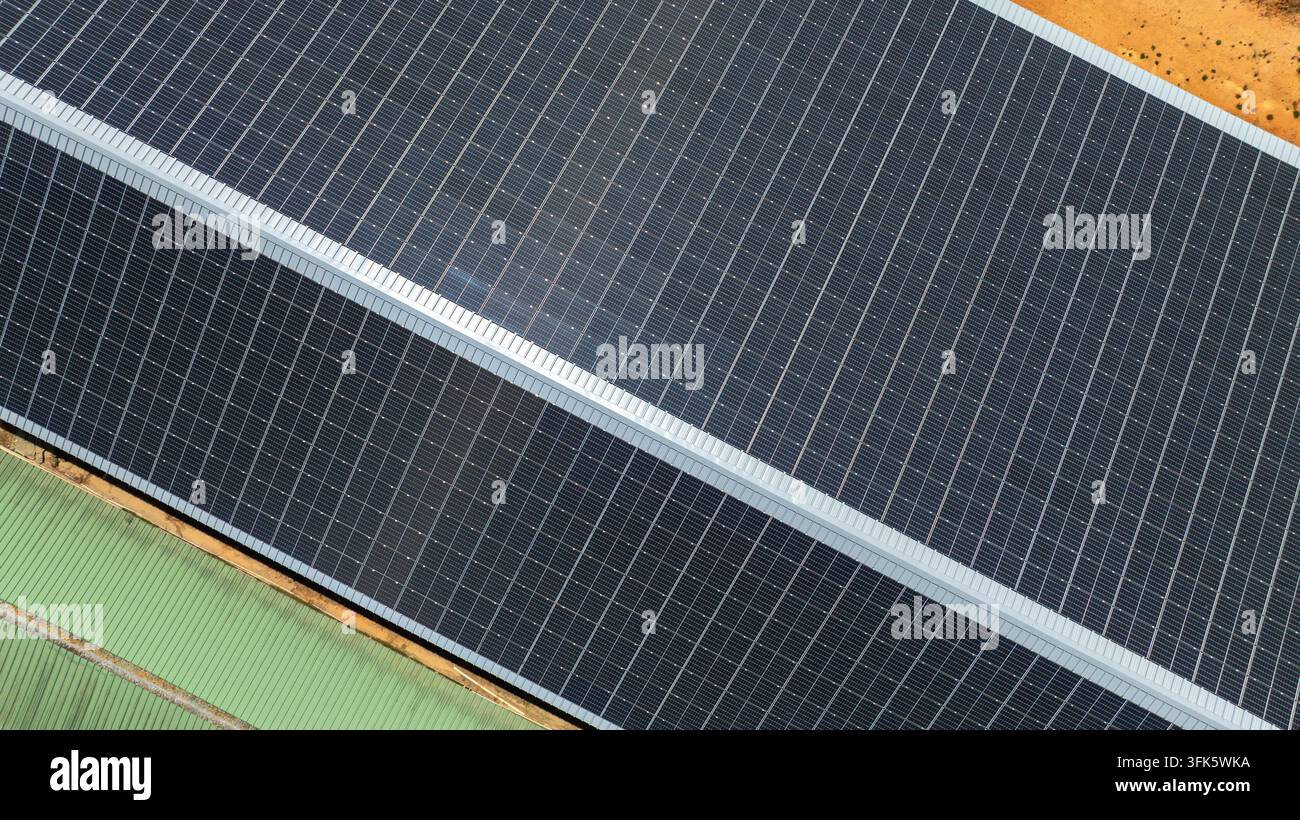 Luftaufnahme eines Bauernhofschuppens, der mit Photovoltaikpanelen bedeckt ist, Solarenergie Stockfoto
