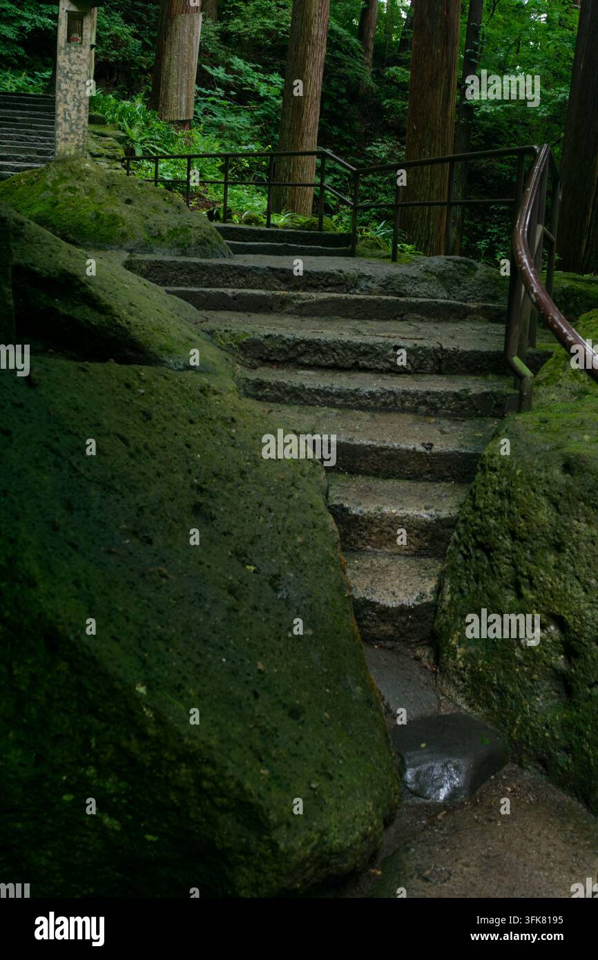Spirituelle Reise über historische Steinstufen, die sich tief in einen üppigen grünen Wald schlängeln, und fängt die Essenz des alten religiösen Erbes Japans ein Stockfoto