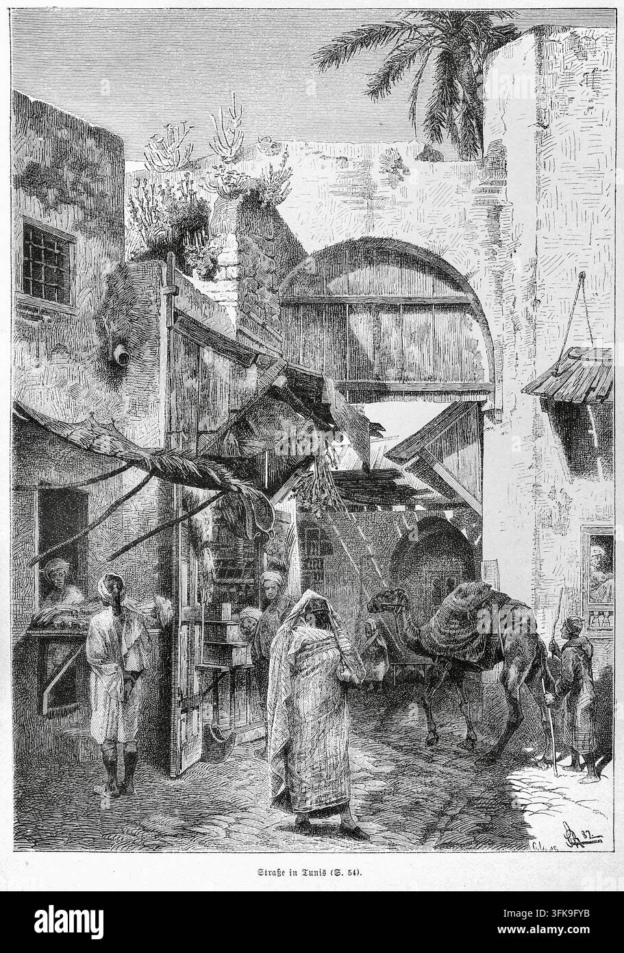 Eine belebte Straßenszene in Tunis mit Menschen, einem Kamel und verschiedenen architektonischen Elementen, Holzstichillustration aus dem 19. Jahrhundert Stockfoto