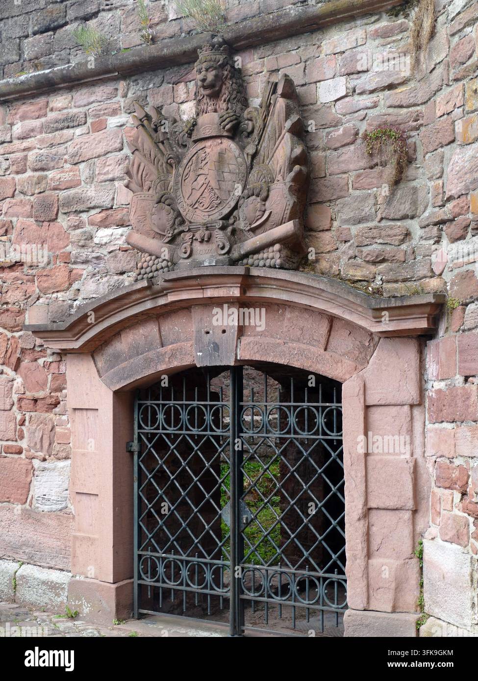 HEIDELBERG, DEUTSCHLAND - 26. MAI 2025 - Wappen mit aufrecht stehendem Löwen, Nationalflaggen schmücken das Eingangstor der mittelalterlichen Burg Heidelberg Stockfoto