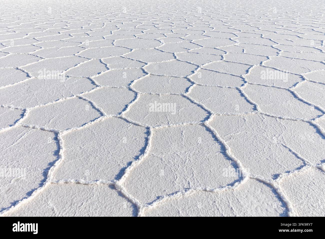Polygonale Salzkruste des Salar de Uyuni, Bolivien Stockfoto