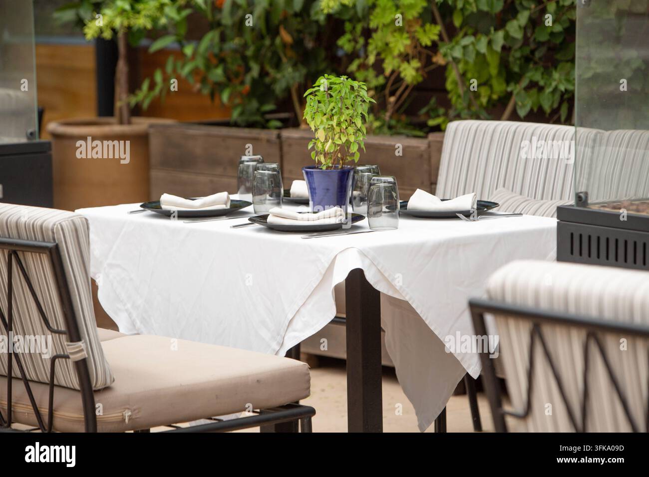 Eleganter Außentisch für vier Personen auf einer gemütlichen Terrasse mit üppiger tropischer Vegetation und einem Topf mit gelbem Oleanderbaum (Thevetia peruviana). Stockfoto