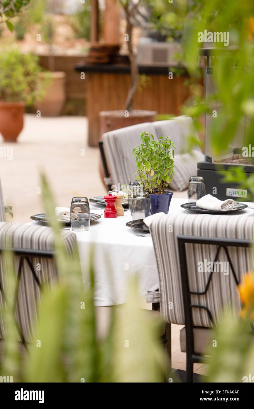 Eleganter Außentisch für vier Personen auf einer gemütlichen Terrasse mit üppiger tropischer Vegetation und einem Topf mit gelbem Oleanderbaum (Thevetia peruviana). Stockfoto