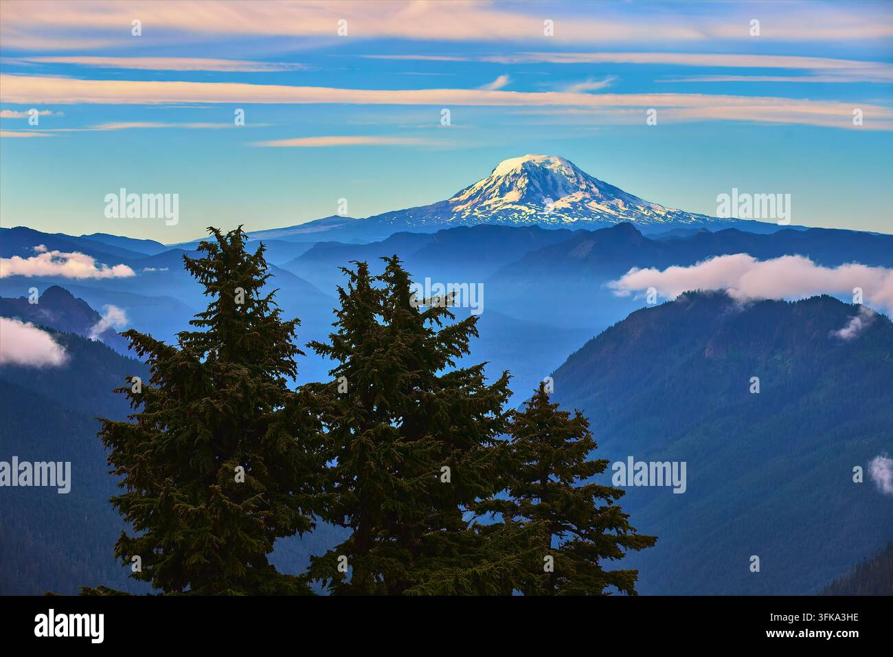 Majestätischer Blick auf den Mount Adams, der über nebligen blauen Bergrücken aufragt, mit üppigem immergrünem Wald im Vordergrund. Aufgenommen in Washington in der Nähe des Mount Rainier an Stockfoto
