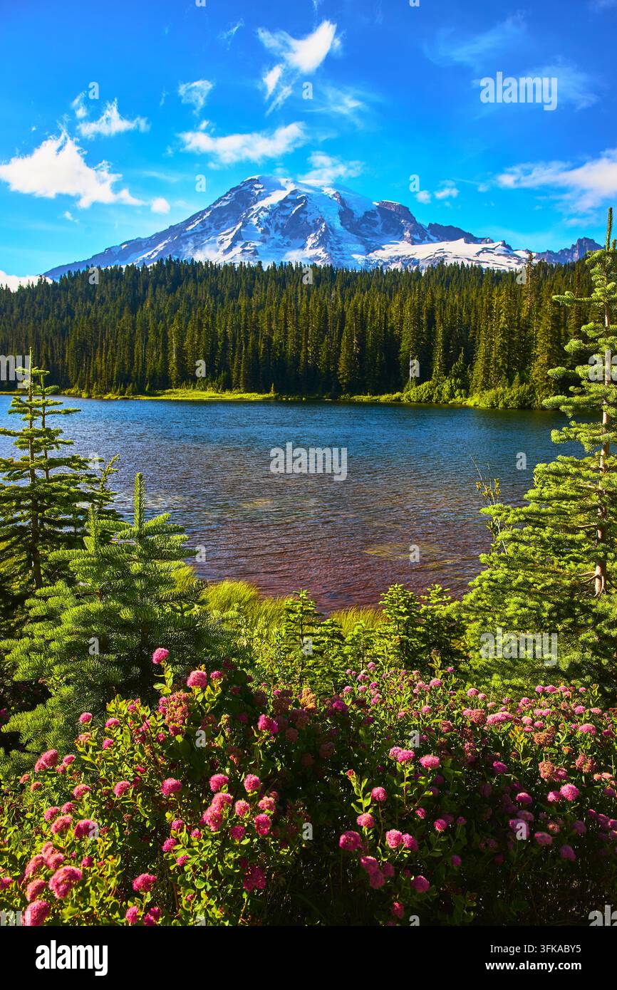 Mount Rainier schneebedeckter Gipfel Reflexion See Wildblumen und Wald Washington Stockfoto